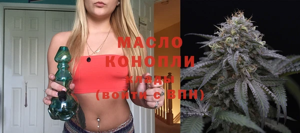 дмт Алексин